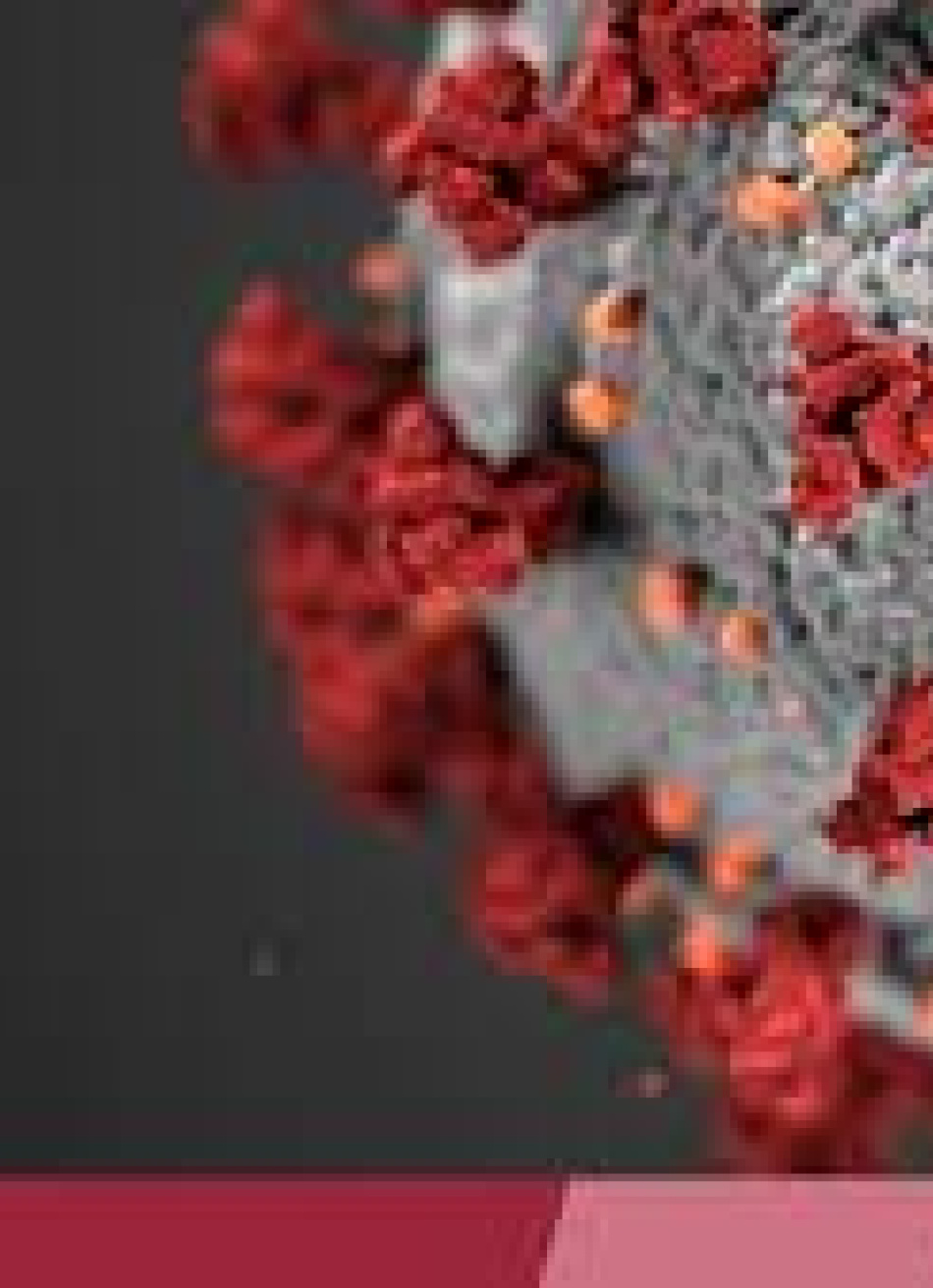 Minas Gerais tem um total de 1.208.529 casos confirmados da Covid-19