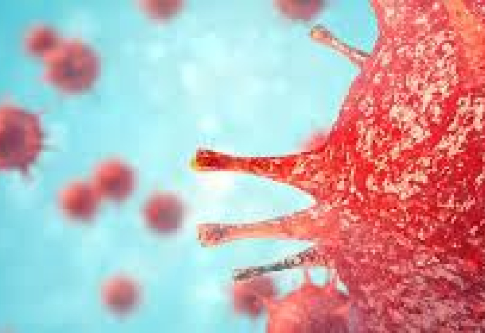 Pará de Minas registrou nas últimas 24 horas 22 novos exames positivos e mais uma morte pela Covid-19