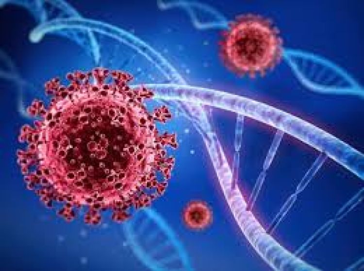Minas Gerais registrou 6.728 novos casos confirmados e 141 mortes pela Covid-19 nas últimas 24 horas
