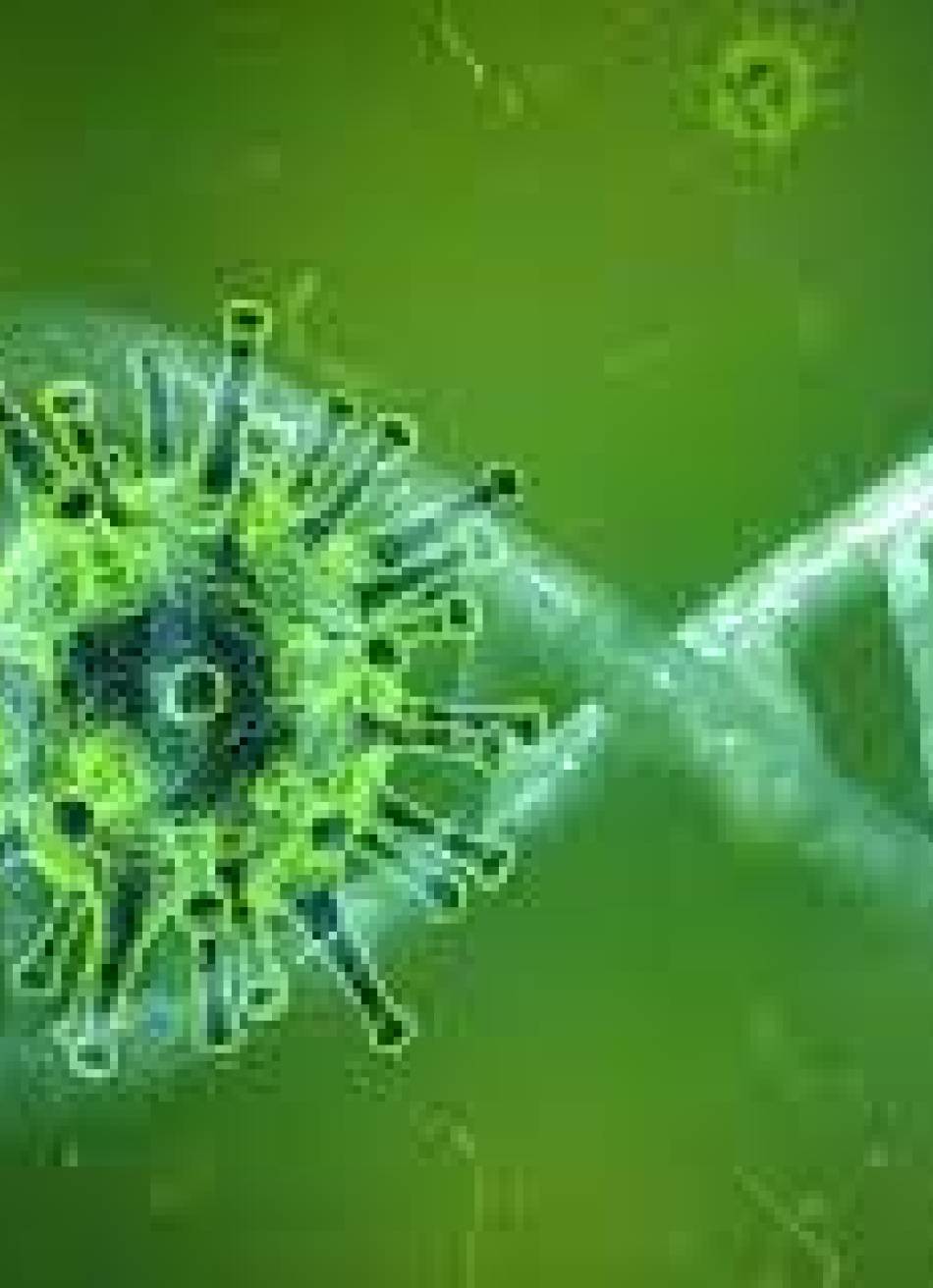 Pará de Minas registrou 30 novos casos confirmados da Covid-19 nas últimas 24 horas