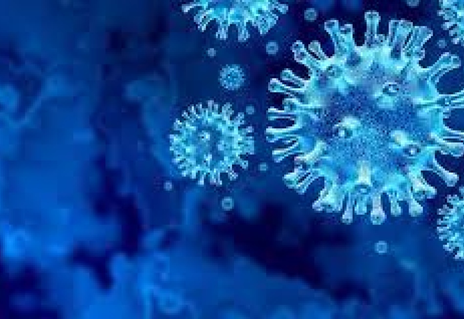 Minas Gerais registrou nas últimas 24 horas 1.811 novos casos confirmados e 11 novas mortes pela Covid-19