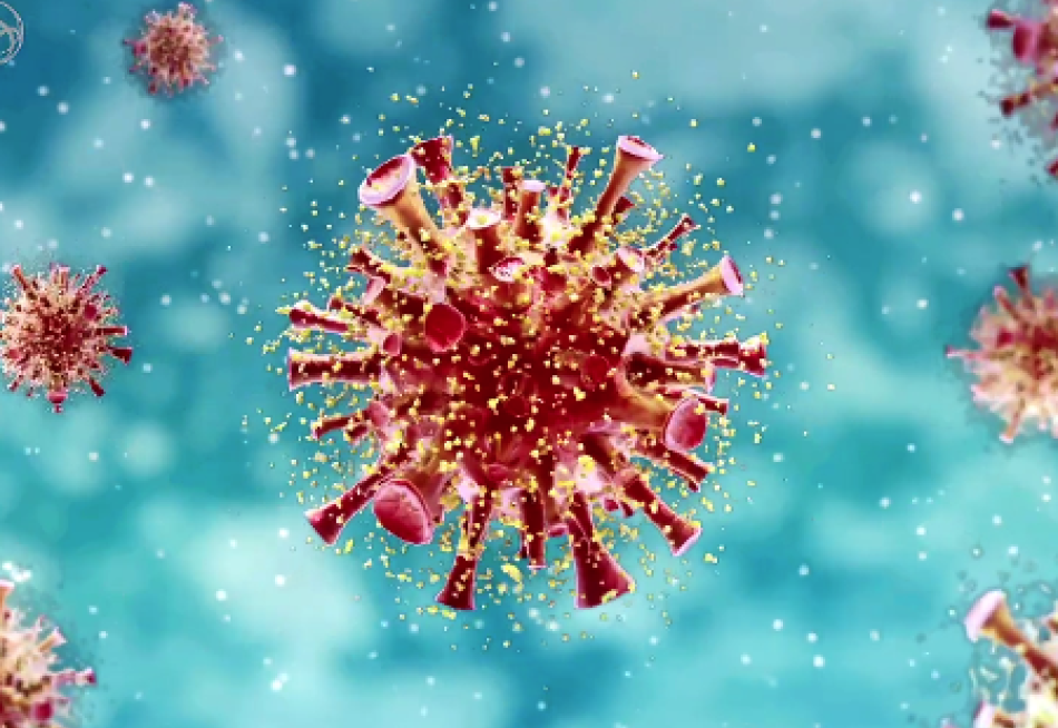 Minas Gerais registrou 4.500 casos confirmados e 70 mortes pela Covid-19 nas últimas 24 horas