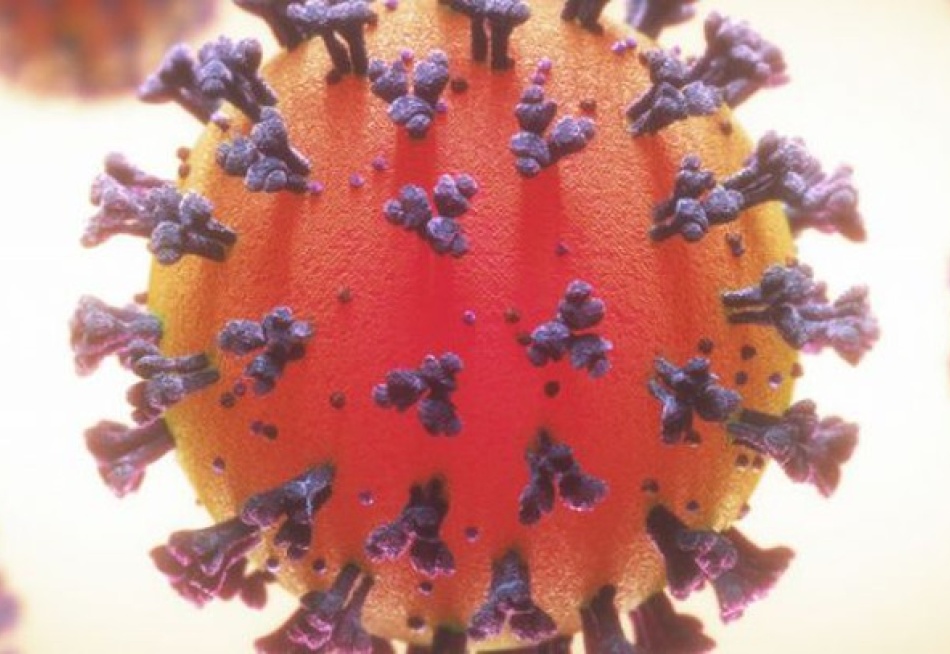 Minas Gerais registrou nesta sexta-feira 3.829 novos casos confirmados da Covid-19 nas últimas 24 horas