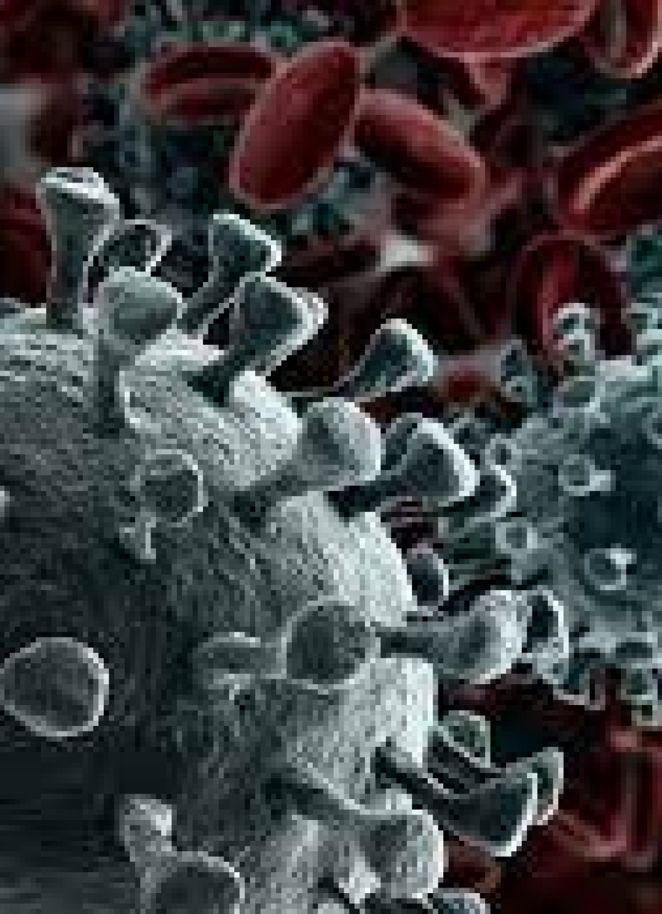 Minas Gerais registrou 9.444 casos confirmados da Covid-19 nas últimas 24 horas