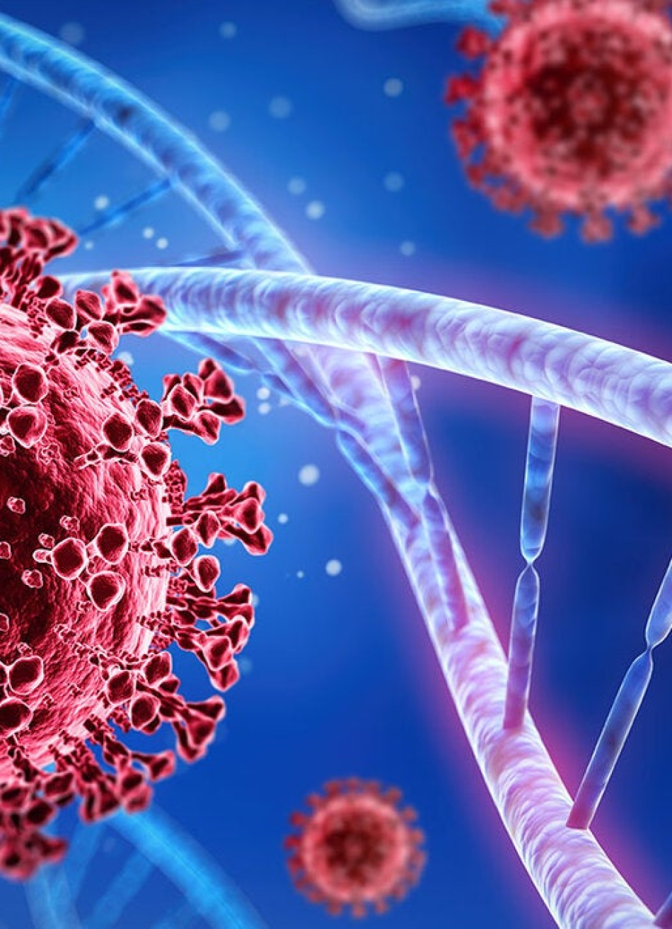 Minas Gerais registrou 715 novos casos confirmados e cinco mortes pela Covid-19 nas últimas 24 horas