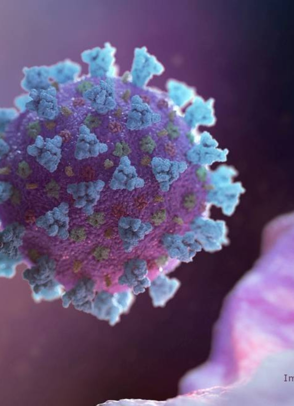 469 pessoas perderam a vida em Minas Gerais nas últimas 24 horas por causa da Covid-19