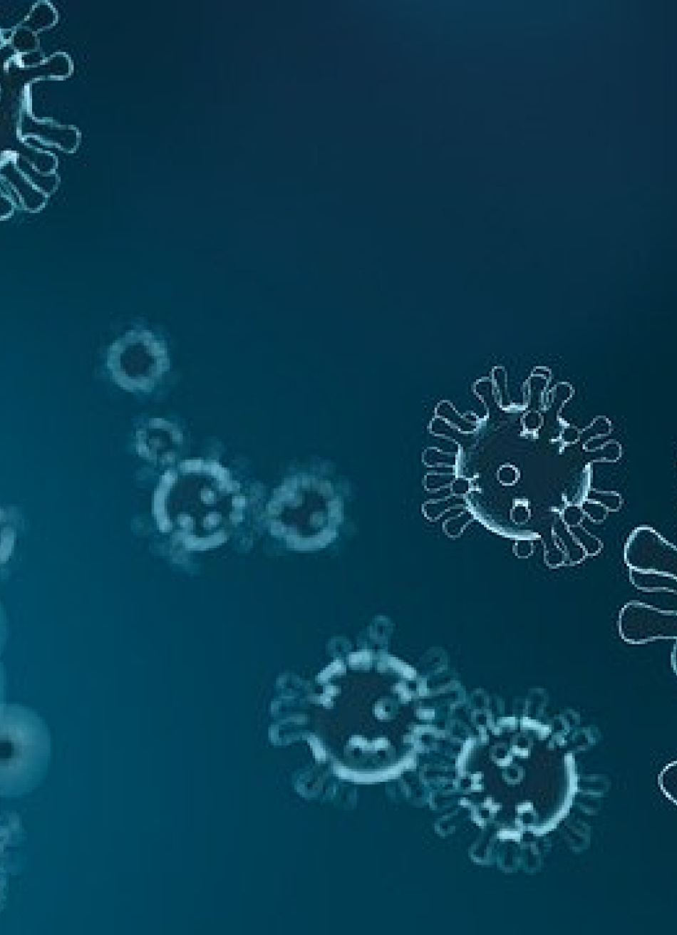 484 pessoas perderam a vida nas últimas 24 horas em Minas Gerais por causa da Covid-19