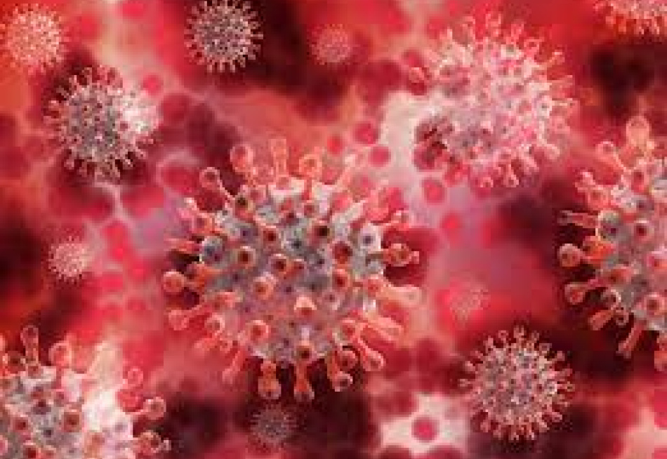 Minas Gerais superou nesta sexta-feira a marca de 40 mil mortes pela Covid-19