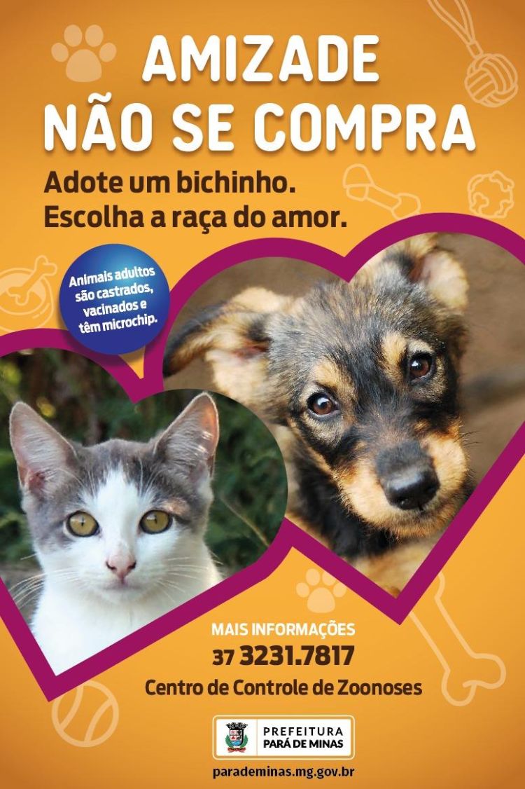 Campanha "Amizade não se Compra" promove a adoção consciente de cães e gatos em Pará de Minas