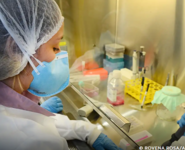 USP avança em pesquisas de vacina contra o vírus zika com resultados promissores em testes pré-clínicos