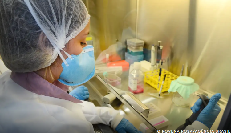 USP avança em pesquisas de vacina contra o vírus zika com resultados promissores em testes pré-clínicos