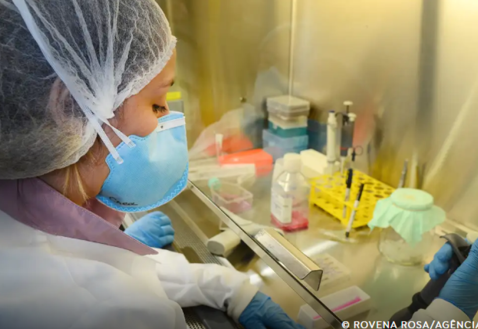 USP avança em pesquisas de vacina contra o vírus zika com resultados promissores em testes pré-clínicos