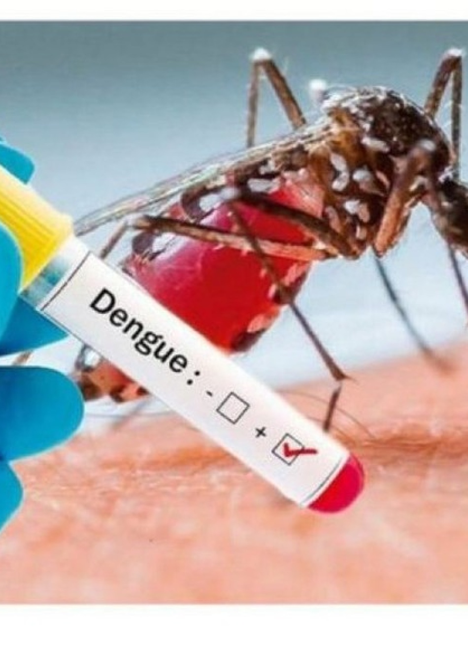 Boletim coloca Pará de Minas em segundo lugar no Centro-Oeste nos casos prováveis de dengue