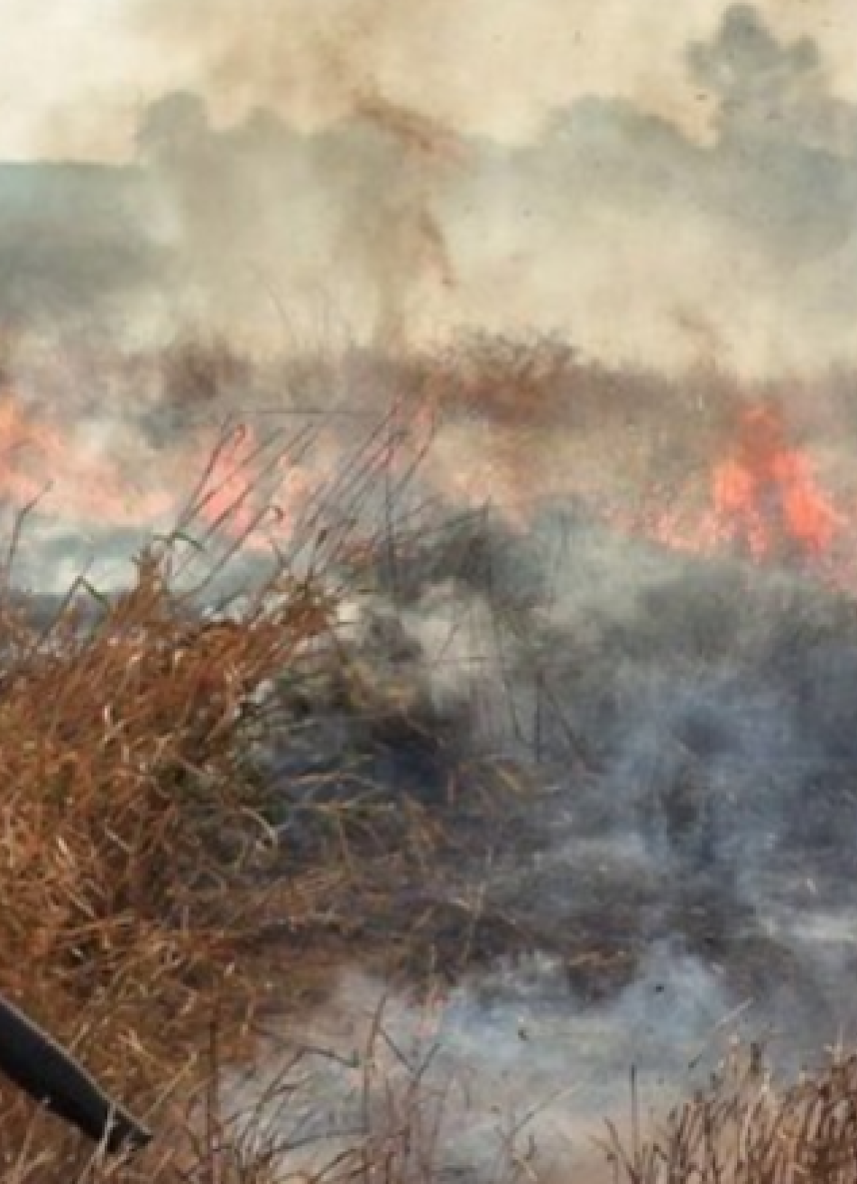 Minas Gerais reduz focos de incêndio em Unidades de Conservação em até 57% com investimentos superiores a R$ 20 milhões