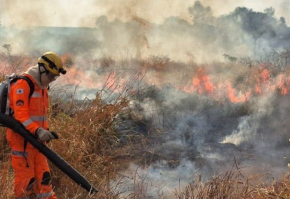 Minas Gerais reduz focos de incêndio em Unidades de Conservação em até 57% com investimentos superiores a R$ 20 milhões