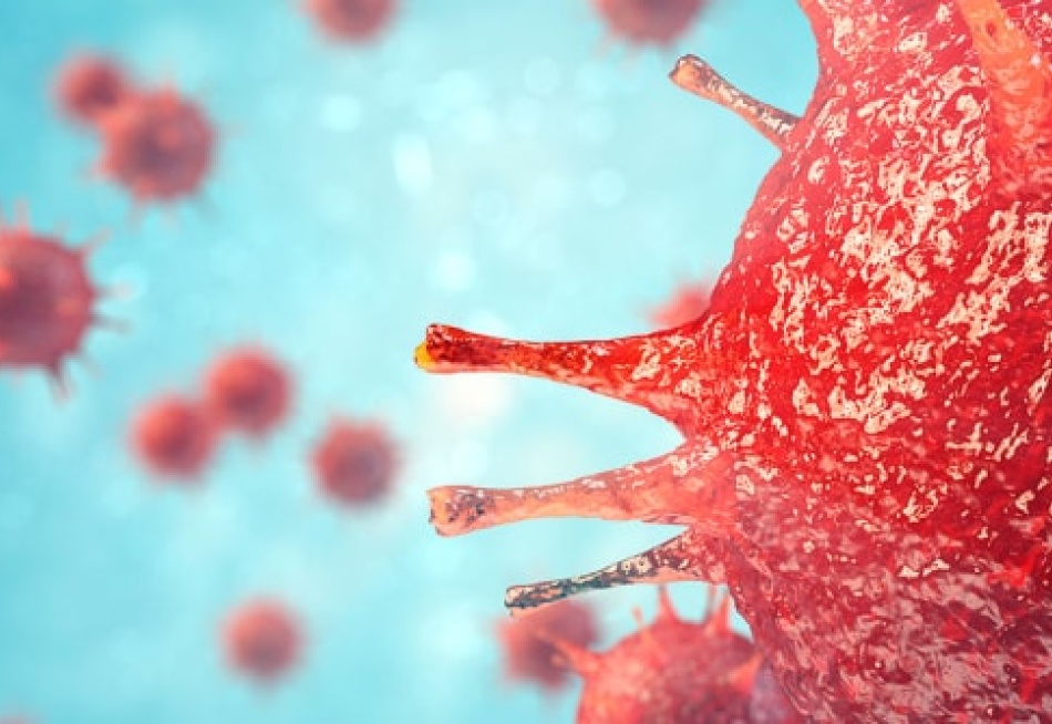 Pará de Minas registrou dez novos casos confirmados das Covid-19 nas últimas 24 horas