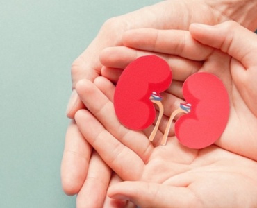 Dia Mundial dos Rins é celebrado nesta quinta-feira e tem como objetivo aumentar a conscientização sobre doenças renais