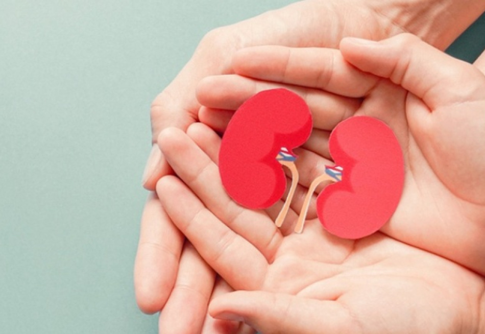 Dia Mundial dos Rins é celebrado nesta quinta-feira e tem como objetivo aumentar a conscientização sobre doenças renais