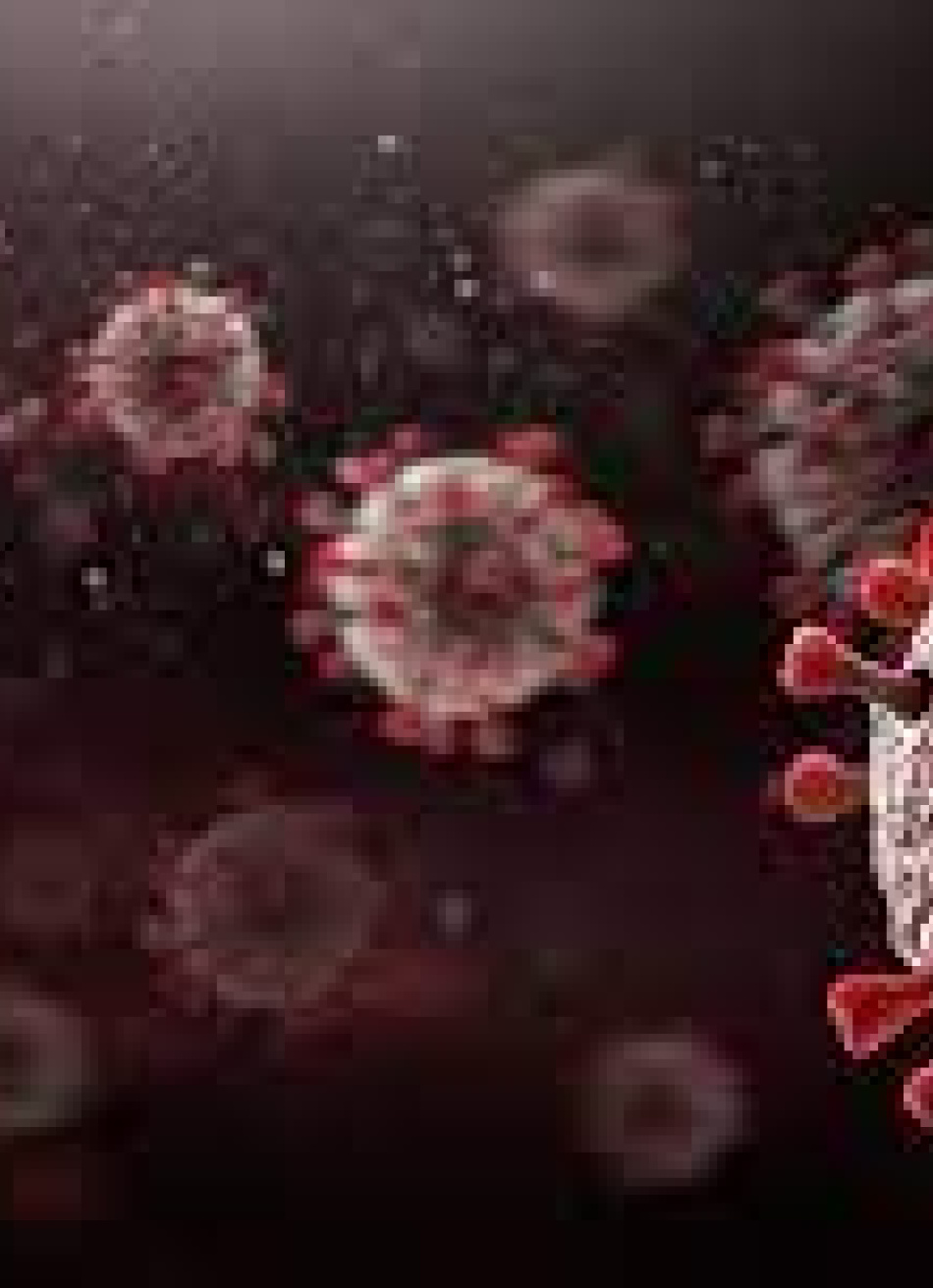 Pará de Minas registrou 104 novos casos confirmados da Covid-19