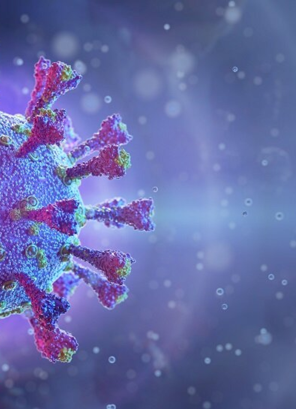 Minas Gerais registrou 1.446 novos casos confirmados e oito mortes pela Covid-19 nas últimas 24 horas