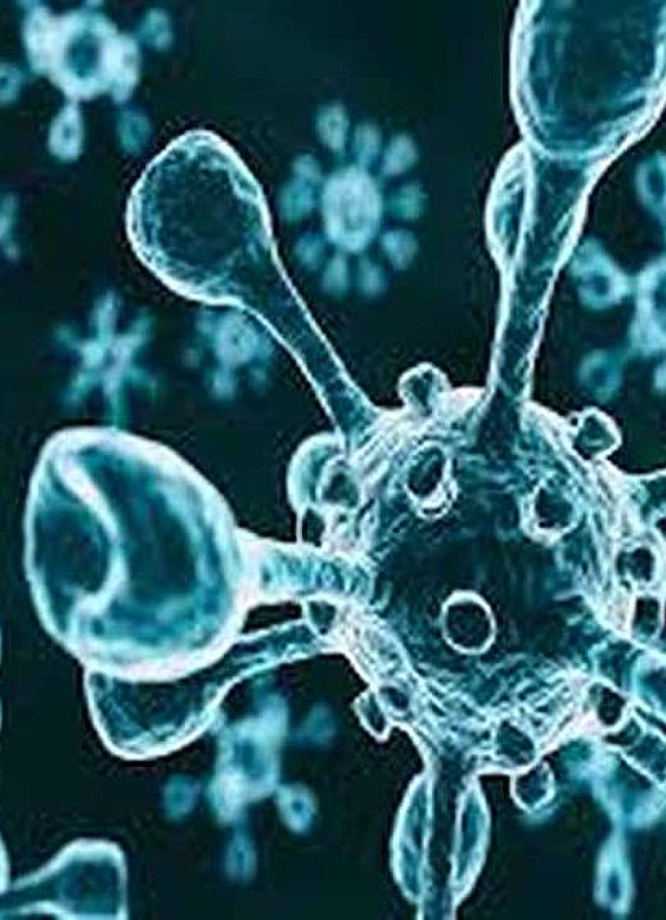 Minas Gerais registrou 7.050 novos casos confirmados da Covid-19 nas últimas 24 horas