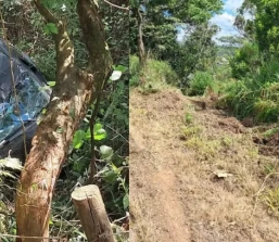 Mulher morre após carro cair em abismo na MG-164