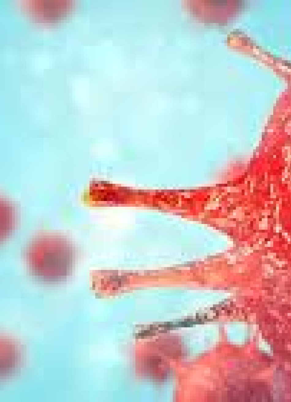 Dos 619 municípios mineiros que não registraram mortes pela Covid-19 nos últimos sete dias, 31 estão localizados na região Centro-Oeste do estado