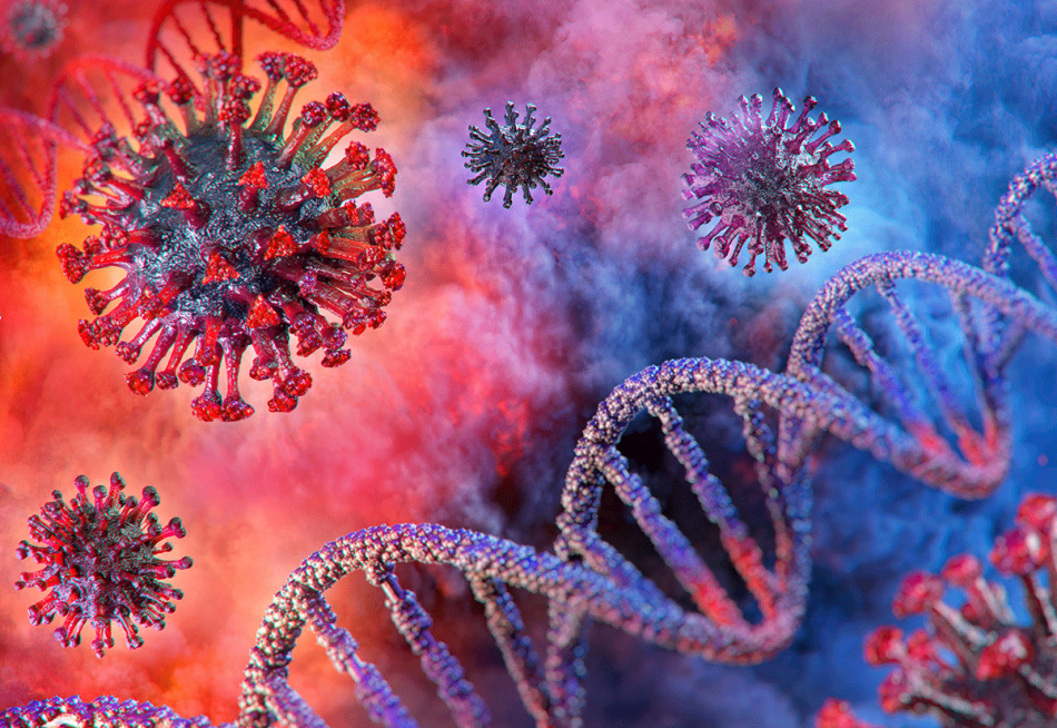 Minas Gerais registrou 762.412 casos confirmados da Covid-19