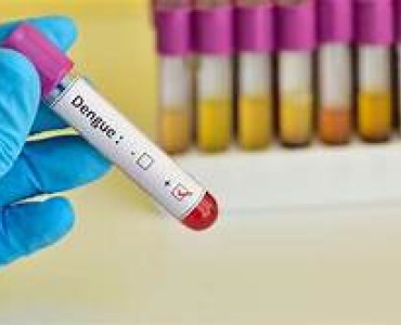 Primeiro LIRAa de 2022 mostrou índice de infecção de 5,1% da epidemia de dengue em Pará de Minas