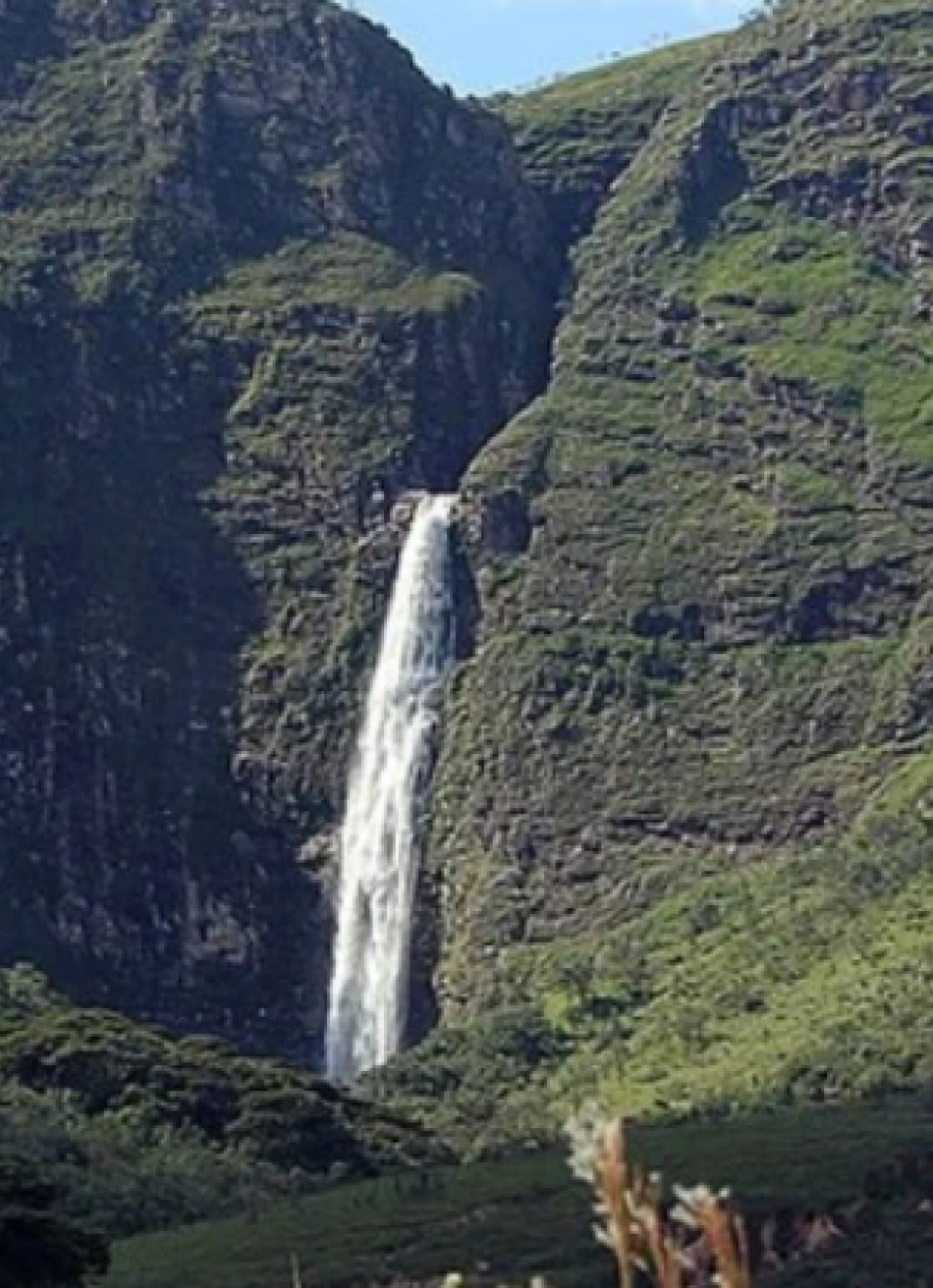Serra da Canastra realiza o 1º Concurso de Queijo Autoral para celebrar a criatividade e a tradição