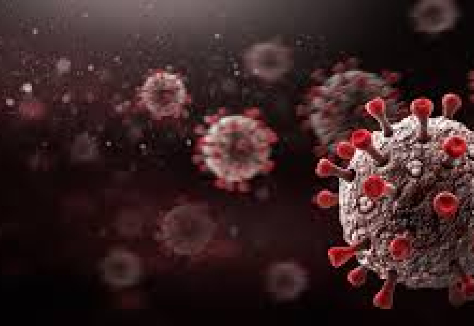 Minas Gerais registrou 3.821 novos casos confirmados e 134 mortes pela Covid-19 nas últimas 24 horas