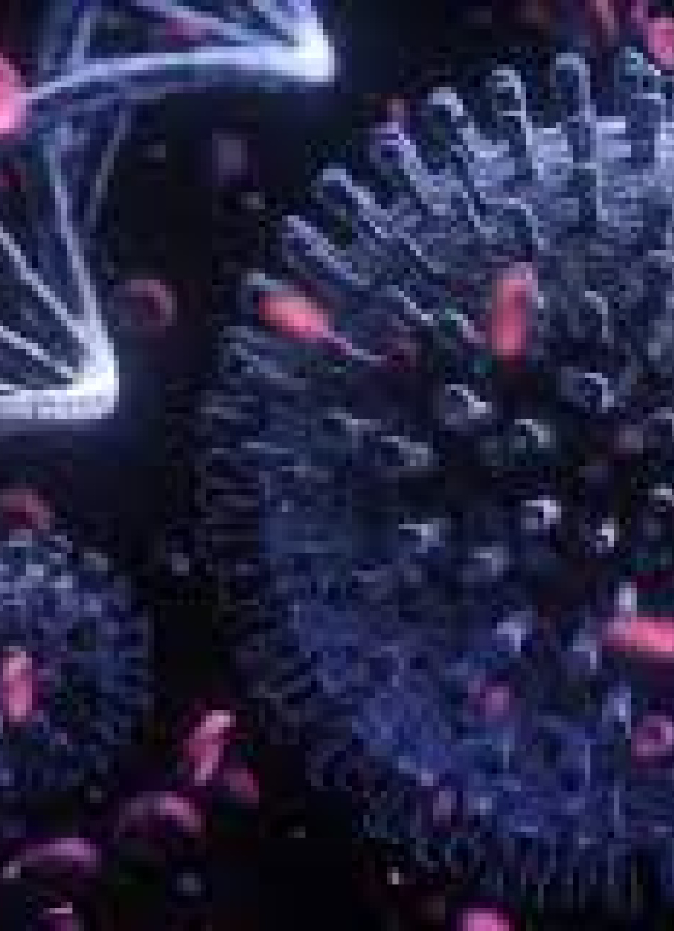 Minas Gerais registrou 3.225 novos casos confirmados da Covid-19 nas últimas 24 horas