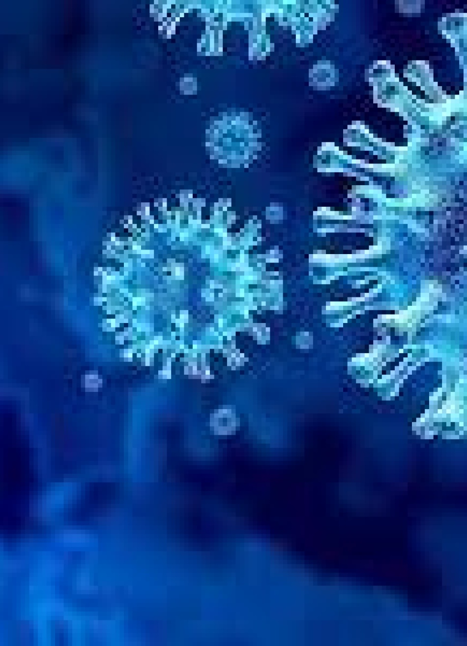 Brasil registrou 63.032 novos casos confirmados e 1.661 novas mortes pela Covid-19 nas últimas 24 horas