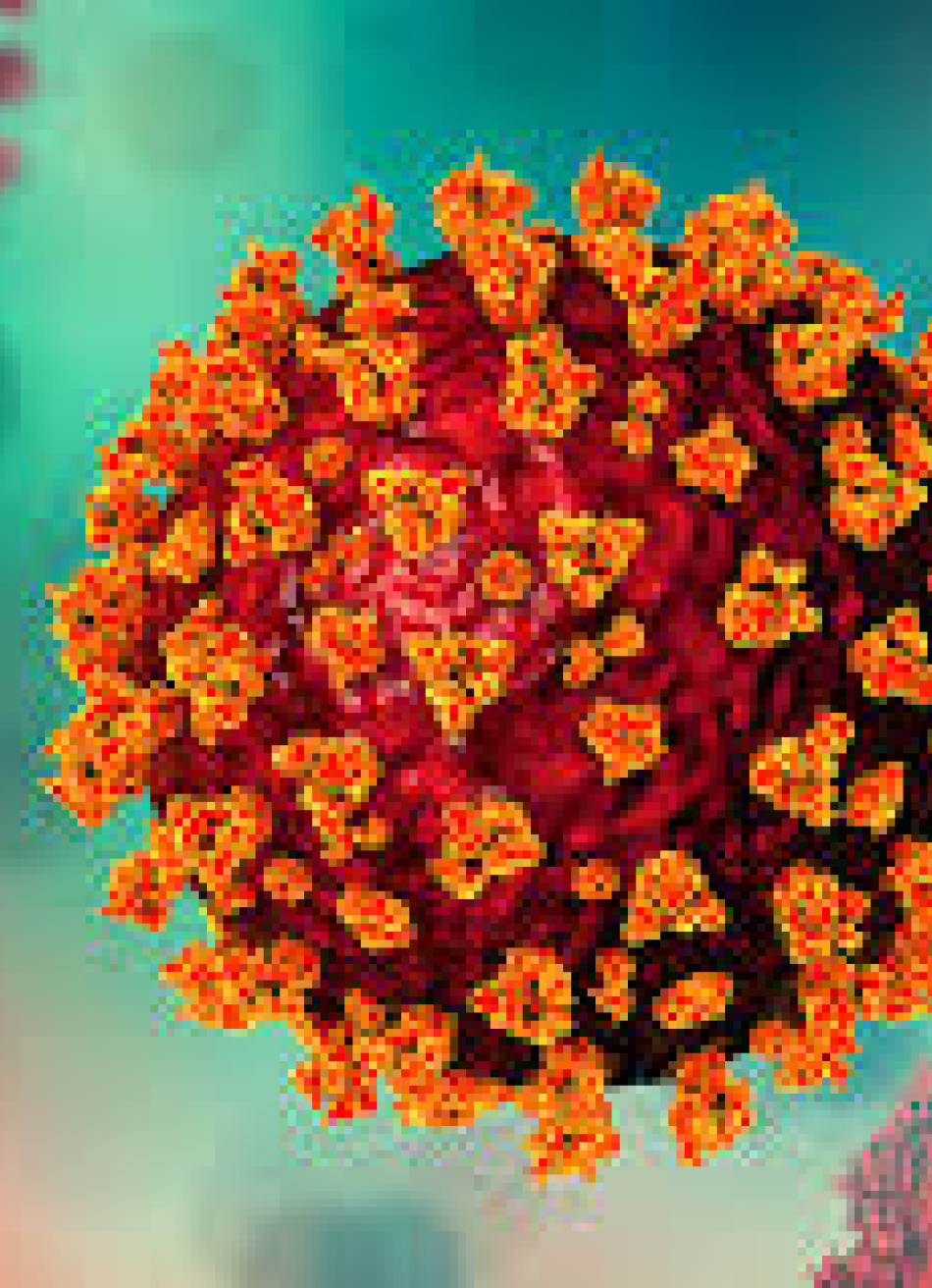 Minas Gerais registrou nas últimas 24 horas 5.958 novos casos confirmados da Covid-19