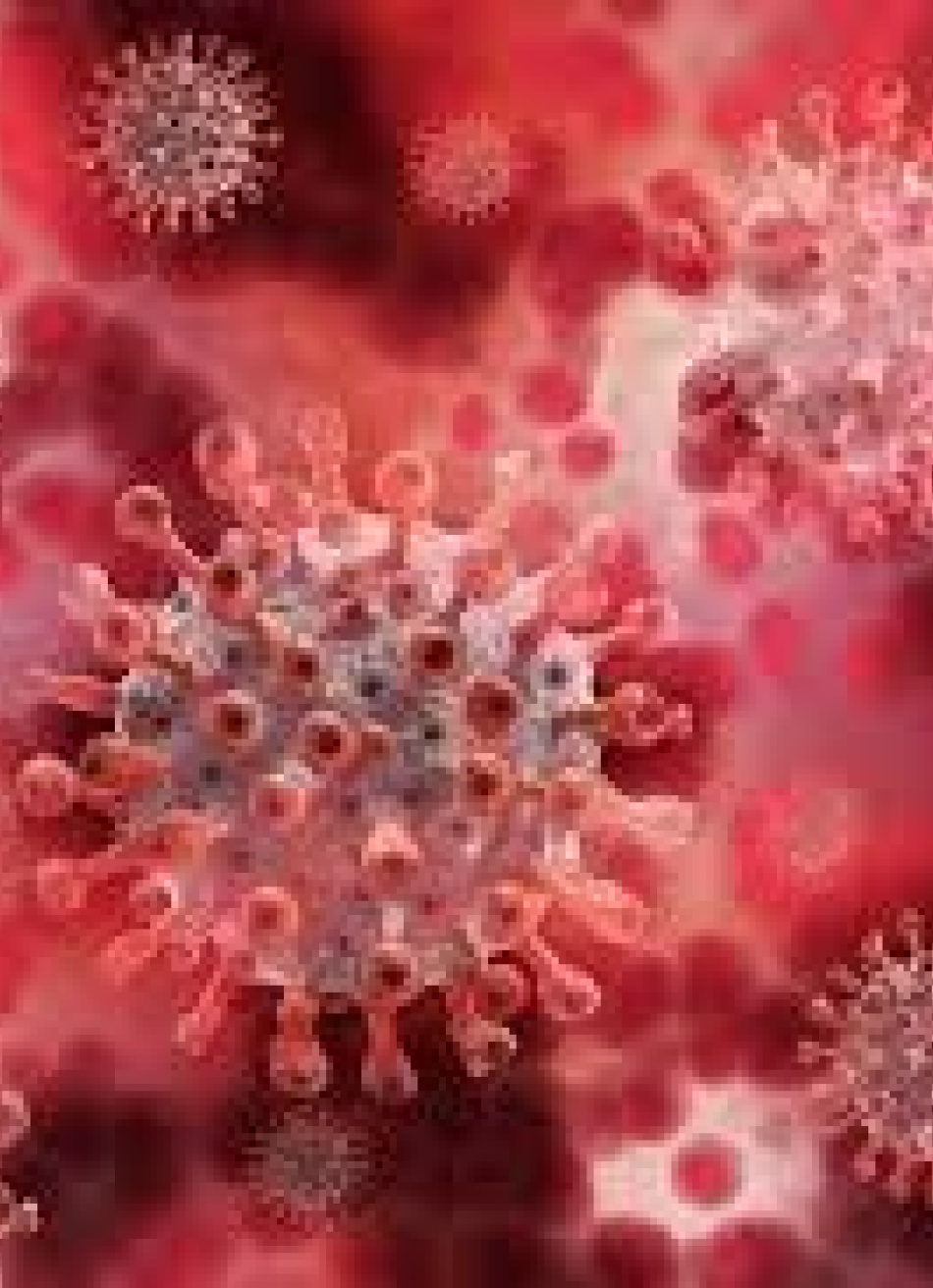 Minas Gerais registrou 8.206 novos casos confirmados e 127 mortes pela Covid-19 nas últimas 24 horas