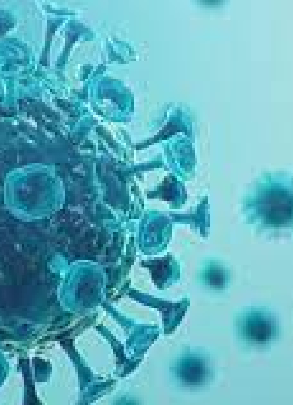 Subiu para 151 o número de óbitos em Pará de Minas por causa da Covid-19