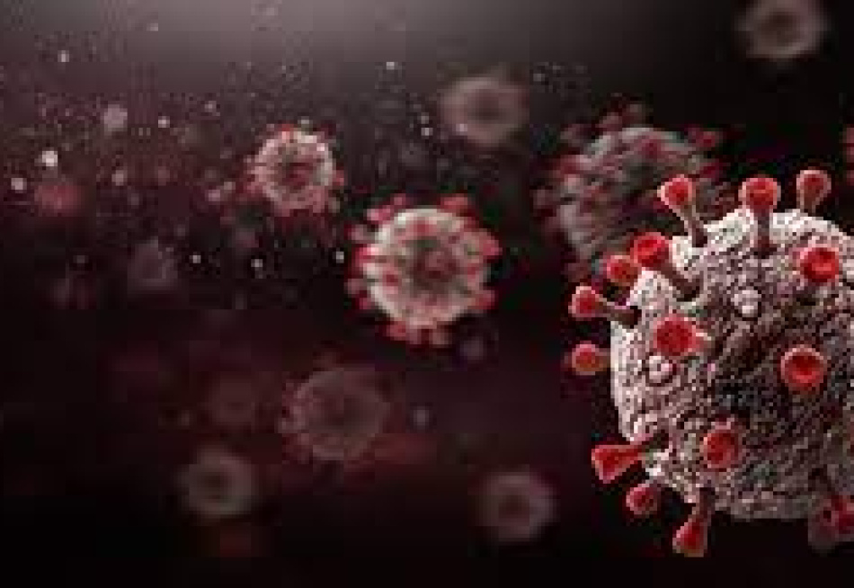 Brasil superou a marca de 350 mil mortes pela Covid-19