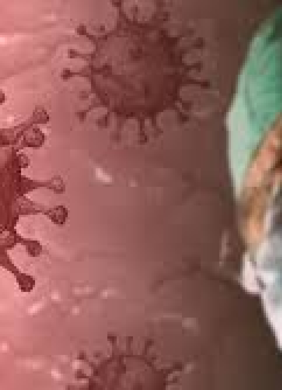 Pará de Minas registrou duas novas mortes pela Covid-19 nesse final de semana