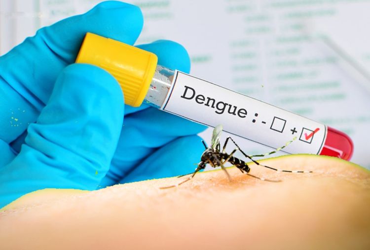 Pará de Minas tem 54 casos prováveis de dengue e aparece em segundo lugar nas estatísticas da SES-MG entre as cidades do Centro-Oeste