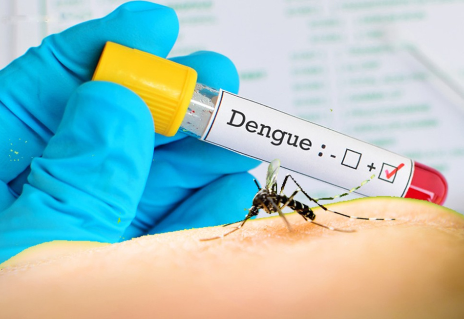 Pará de Minas tem 54 casos prováveis de dengue e aparece em segundo lugar nas estatísticas da SES-MG entre as cidades do Centro-Oeste