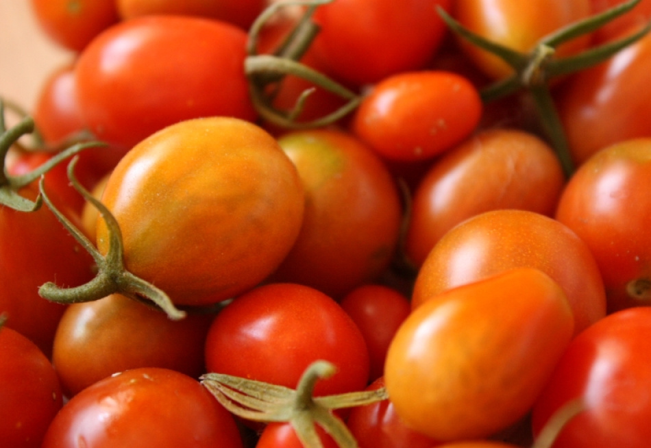 Pesquisa do Dieese aponta aumento no preço da cesta básica em 15 de 17 capitais brasileiras